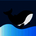 鲸心 V1.12.0