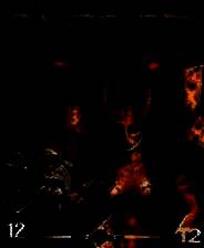 《圣域：魔都魅影》中文版