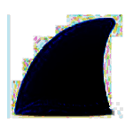 Wireshark Portablev4.0.4