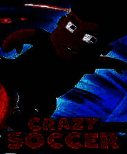 《疯狂足球：足球明星》简体中文免安装版