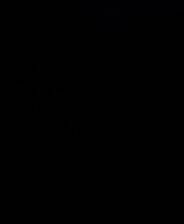 [NGC]《火焰之纹章：苍炎之轨迹》 简体中文版