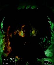 《神界2：龙裔》免安装中文版