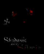 《1428：西里西亚上空的阴影》 v1.1.36升级档+未加密补丁[I_KnoW]