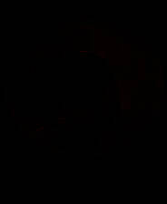 《脑叶公司》免安装中文版