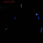 蝙蝠：不朽传奇 V1.1