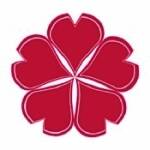 樱花动漫 在线观看动漫免费完整版 V1.2