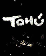 《TOHU》简体中文免安装版