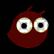 考虫英语 V1.10.2