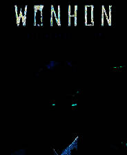 《Wonhon：复仇灵魂》简体中文免安装版