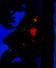 《鸟爪与鸟羽2》英文免安装版