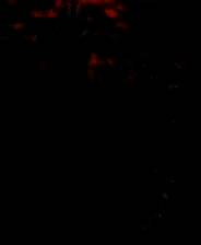 《战锤40K：战争黎明2》 黄金版 官方中文镜像版