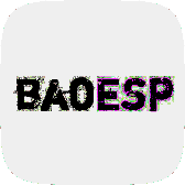 baoESP 免卡密版 V2.1.6