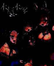 《水烟水雾》官方版