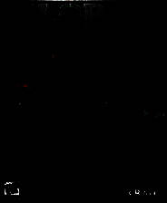 《全球行动》 繁体中文免安装版