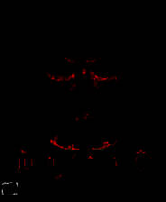 《暗黑破坏神2》中文单机版