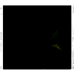 Cortona3D RapidAuthorv11.1