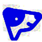 旺影视频模板v1.0.0.2