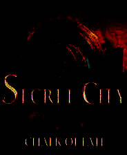 《秘密城市：命运之笔》英文免安装版