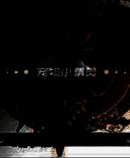 《口袋妖怪：mega进化》 简体中文免安装版