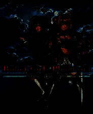 《子弹少女：幻想》风灵月影修改器