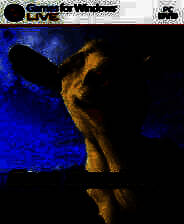 《模拟山羊》电脑版