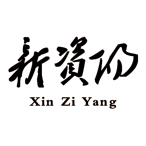 新资阳 V1.0