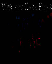 《神秘视线19：飞蛾扑火》英文免安装版