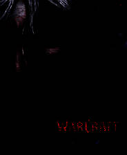 《魔兽争霸3冰封王座》简体中文版