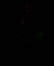 《狼奔豕突》英文镜像版