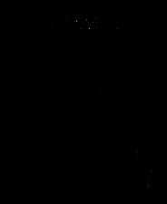 《亚瑟王：骑士传说》英文免安装版