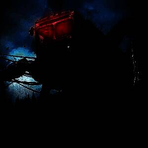 七日世界 安卓版 V1.9.10