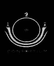 《联合军》英文免安装版