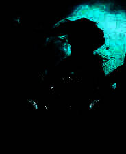 《无影之影》英文免安装版