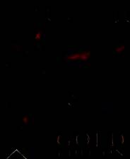 《哥特王朝2》英文镜像版