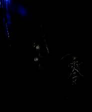 《零 ～月蚀的假面～》v1.0-v1.0.0.4 十四项修改器[3DM][更新]