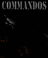 《盟军敢死队1：深入敌后》中文硬盘版