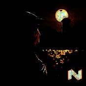 钓鱼人生 V0.5.61