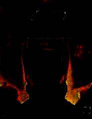 《辐射：钢铁兄弟会》简体中文免安装版