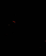 《失落大地》 繁体中文免安装版