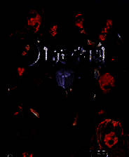 《月英学园 kou》日版PSV版