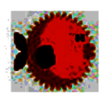 斗鱼简易播放器v5.0.2.0