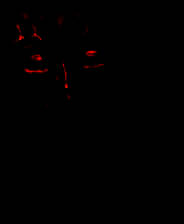 《奥卡纳医生的橱柜》英文免安装版