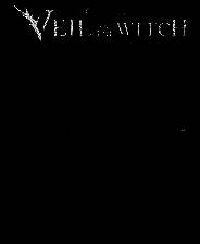 《幻灵降世录：女巫的面纱》单机版