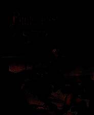 《梦幻之星4：千年纪的终结》简体中文汉化版