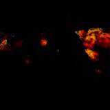 天天狙击训练 V1.2