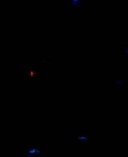 《雾锁王国》中文版