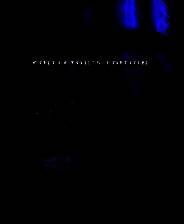 《现实边缘：丢失的森林秘密》英文免安装版