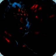 街头霸王暗影决斗 V1.13.0