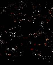 《探案法：侦探大赛》中文免安装版