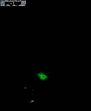 《第三只眼》英文免安装版